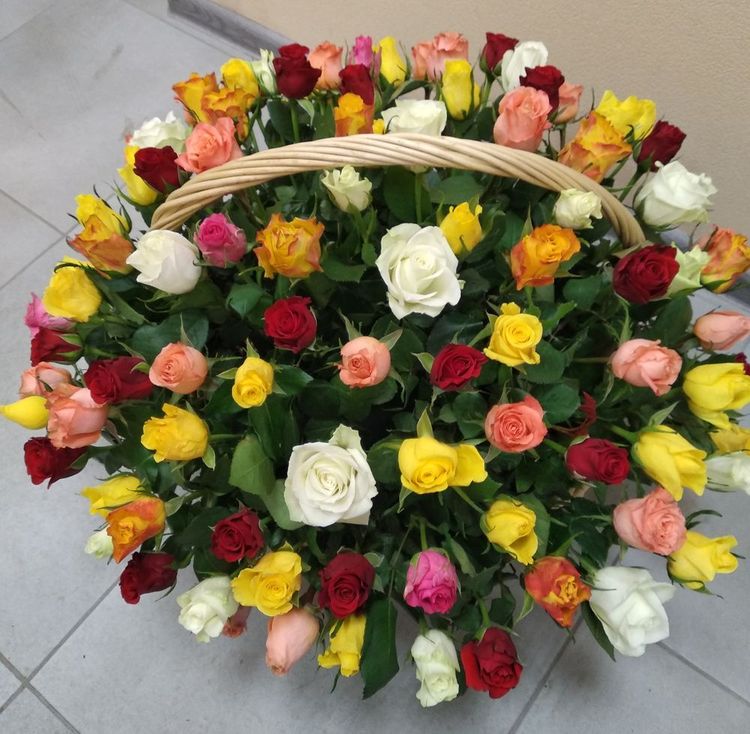 51 роза в корзине ,Кения, 40см